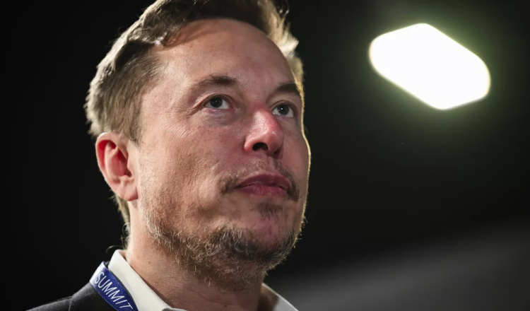 Elon Musk denuncia fraude