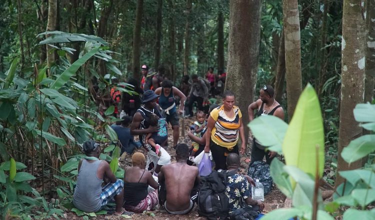 En lo que va del 2024, más de 244,000 migrantes han atravesado la peligrosa selva del Darién, la frontera natural entre Panamá y Colombia, según datos del Servicio Nacional de Migración de Panamá.