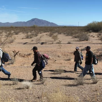 La Patrulla Fronteriza del sector Wellton, en Arizona, ha hecho noticia tras la detención de una mujer mexicana identificada como Araceli “N”. Esta detención ocurrió durante un operativo en el desierto en días recientes, resaltando la lucha feroz contra el cruce ilegal de fronteras.