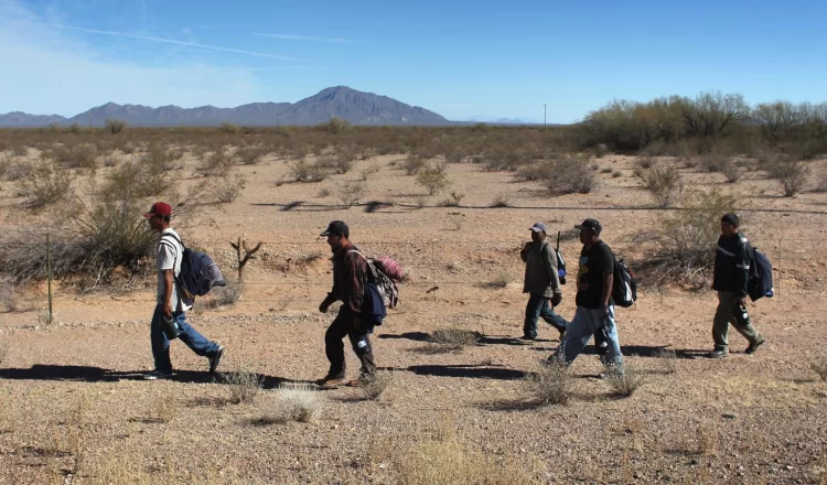 La Patrulla Fronteriza del sector Wellton, en Arizona, ha hecho noticia tras la detención de una mujer mexicana identificada como Araceli “N”. Esta detención ocurrió durante un operativo en el desierto en días recientes, resaltando la lucha feroz contra el cruce ilegal de fronteras.