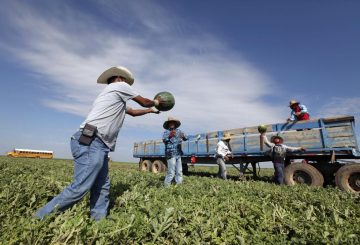 La deportación masiva de inmigrantes mexicanos indocumentados, tal y como ha prometido el presidente electo Donald Trump, podría desencadenar una crisis económica sin precedentes en Estados Unidos. De acuerdo con estudios del American Immigration Council, si se lleva a cabo esta expulsión masiva, el Producto Interno Bruto (PIB) de la principal economía mundial podría desplomarse en 800 mil millones de dólares, lo que representaría aproximadamente el 4% de su PIB total.