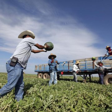 La deportación masiva de inmigrantes mexicanos indocumentados, tal y como ha prometido el presidente electo Donald Trump, podría desencadenar una crisis económica sin precedentes en Estados Unidos. De acuerdo con estudios del American Immigration Council, si se lleva a cabo esta expulsión masiva, el Producto Interno Bruto (PIB) de la principal economía mundial podría desplomarse en 800 mil millones de dólares, lo que representaría aproximadamente el 4% de su PIB total.