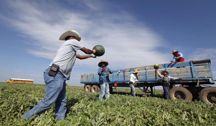 La deportación masiva de inmigrantes mexicanos indocumentados, tal y como ha prometido el presidente electo Donald Trump, podría desencadenar una crisis económica sin precedentes en Estados Unidos. De acuerdo con estudios del American Immigration Council, si se lleva a cabo esta expulsión masiva, el Producto Interno Bruto (PIB) de la principal economía mundial podría desplomarse en 800 mil millones de dólares, lo que representaría aproximadamente el 4% de su PIB total.